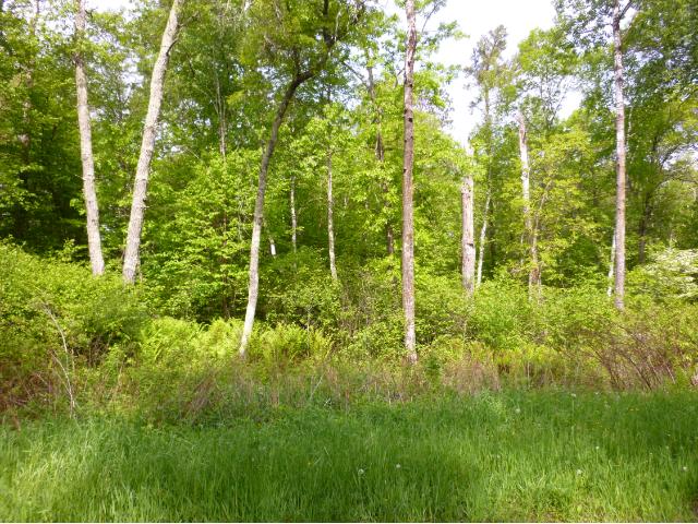6869 Center Drive, Breezy Point, MN 56472