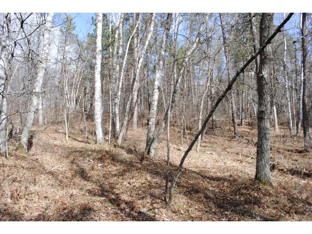 xxx Dewdrop Circle, Breezy Point, MN 56472