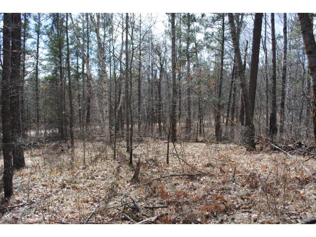 xxx Dewdrop Circle, Breezy Point, MN 56472
