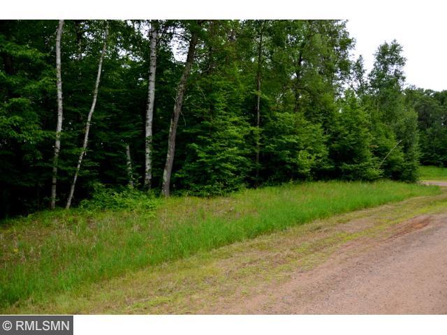 xxx Rabbit Drive, Breezy Point, MN 56472