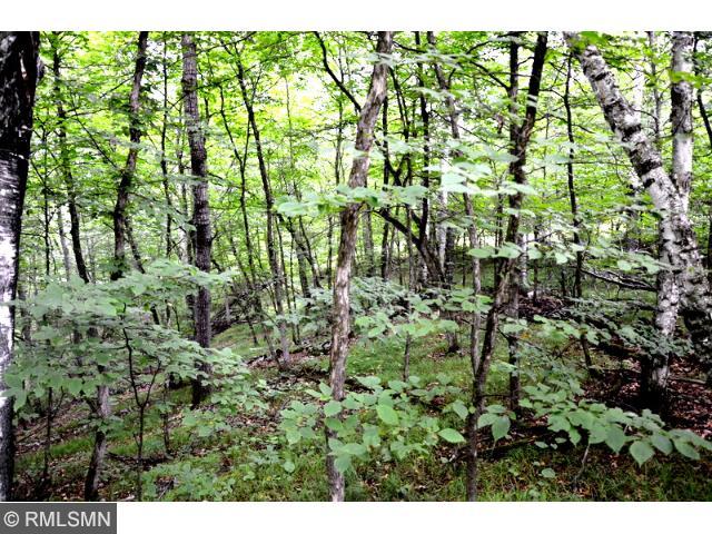 xxx Rabbit Drive, Breezy Point, MN 56472