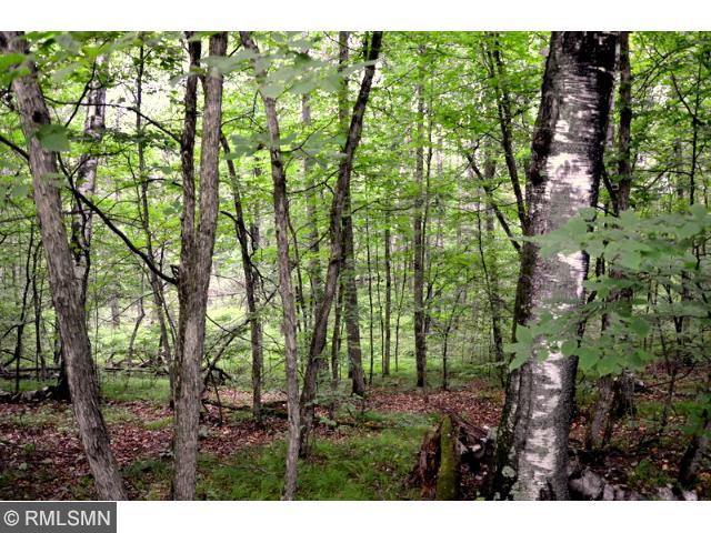 xxx Rabbit Drive, Breezy Point, MN 56472