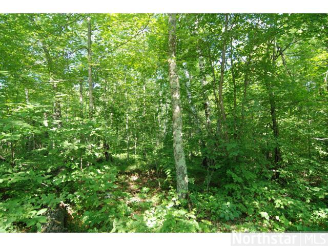 78XX White Overlook Drive, Breezy Point, MN 56472