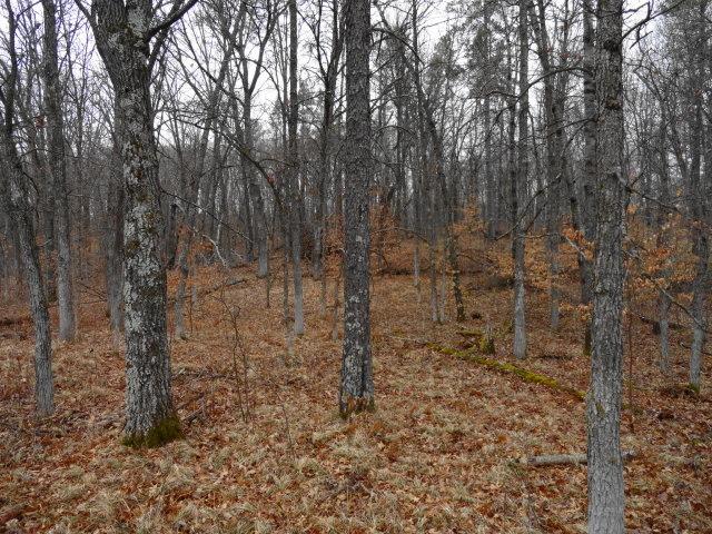 Lot 5 First Street Circle, Breezy Point, MN 56472