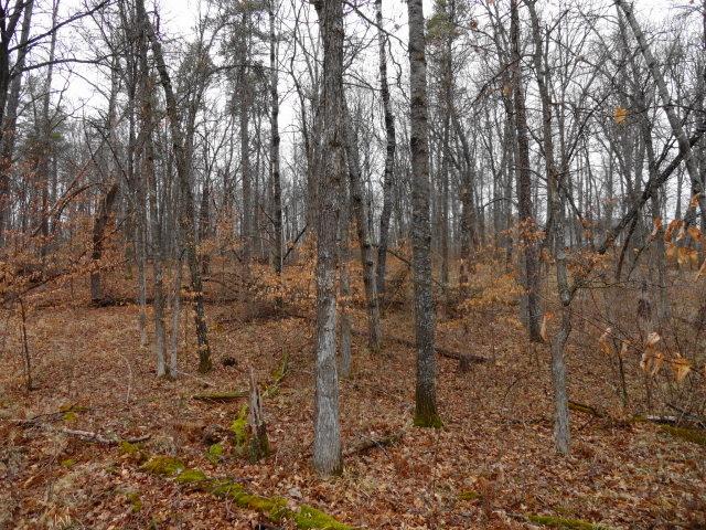 Lot 5 First Street Circle, Breezy Point, MN 56472
