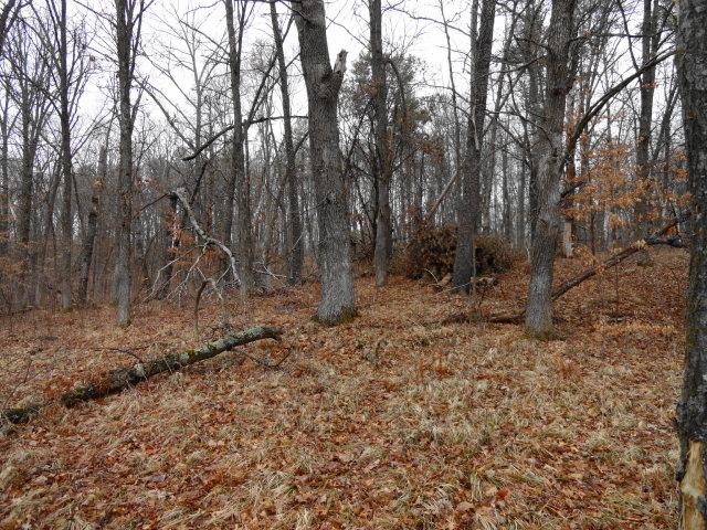 Lot 5 First Street Circle, Breezy Point, MN 56472