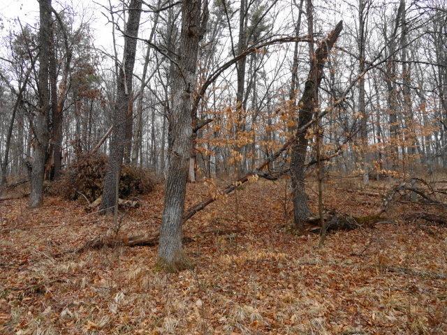 Lot 5 First Street Circle, Breezy Point, MN 56472
