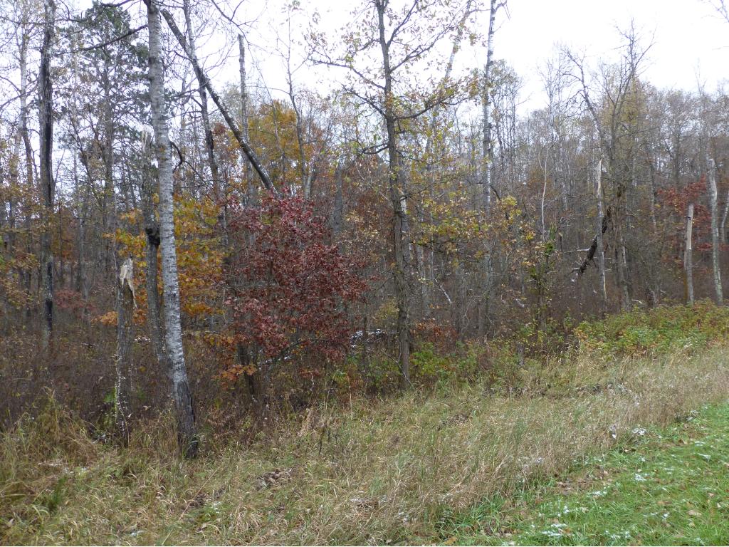 TBD Ranchette Drive, Breezy Point, MN 56472