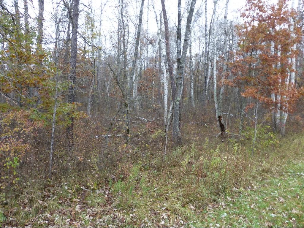 TBD Ranchette Drive, Breezy Point, MN 56472