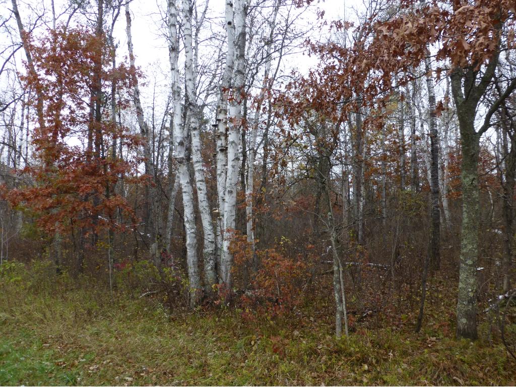 TBD Ranchette Drive, Breezy Point, MN 56472