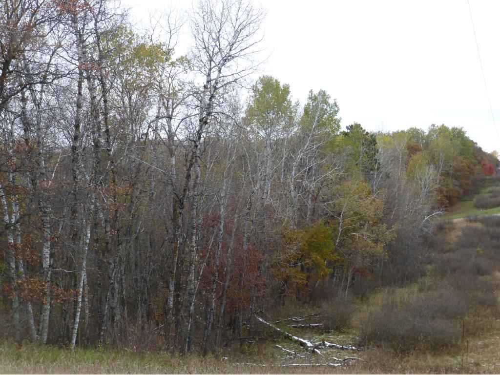 TBD Ranchette Drive, Breezy Point, MN 56472