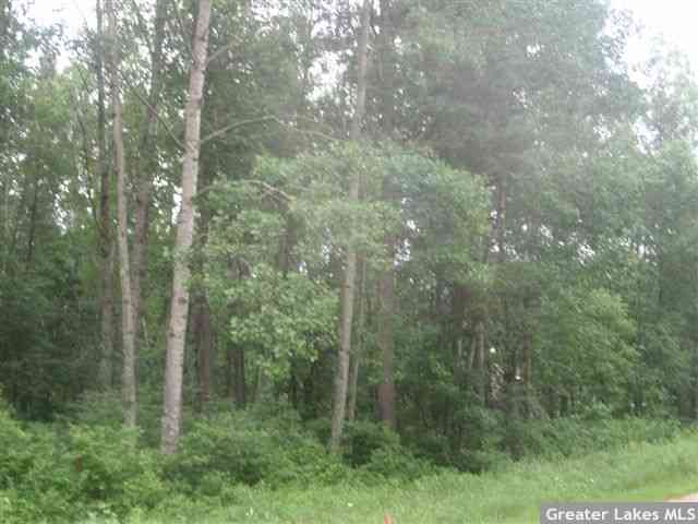 xxxxx Papago Circle, Breezy Point, MN 56472