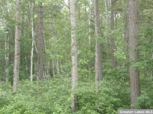 xxxxx Papago Circle, Breezy Point, MN 56472