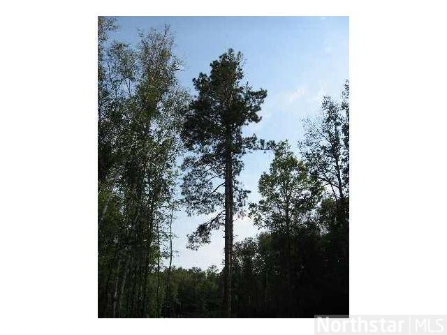 L13 B1 Castlewood Court, Breezy Point, MN 56472