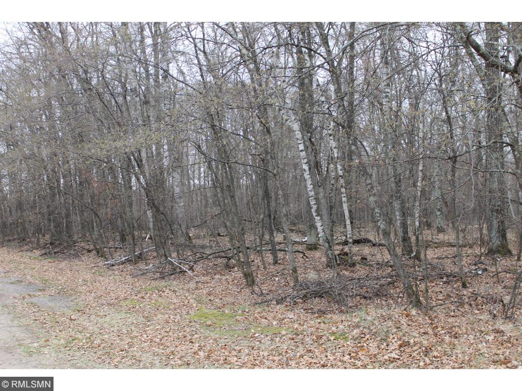TBD Beaver Drive, Breezy Point, MN 56472