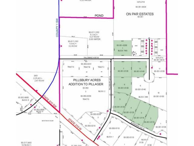 L8B1 Palomino Avenue, Pillager, MN 56473
