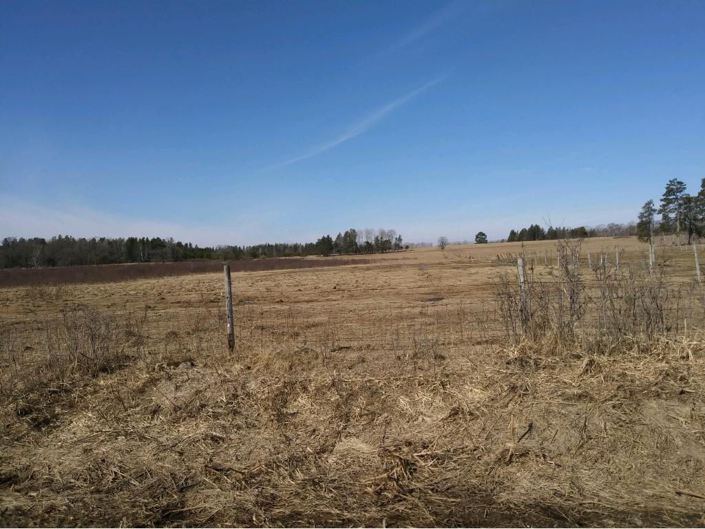 TBD 79th Avenue, Staples, MN 56479
