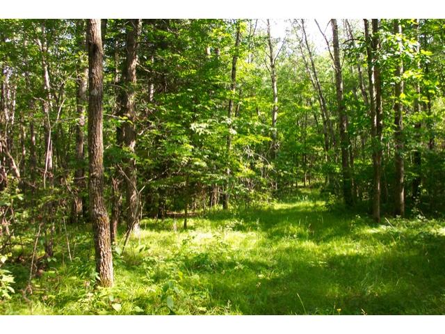 XX Orv's Landing Road, Staples, MN 56479