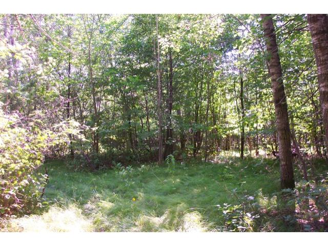 XX Orv's Landing Road, Staples, MN 56479