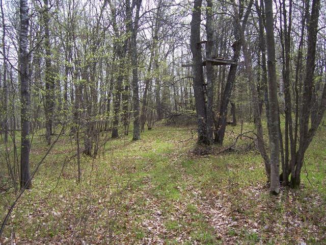 XX Orv's Landing Road, Staples, MN 56479