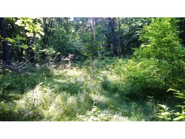 XX Orv's Landing Road, Staples, MN 56479
