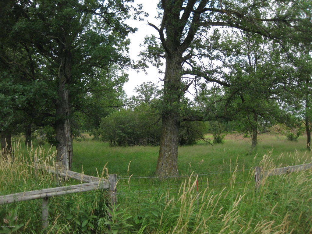 Xxx Co Hwy 75 Highway, Wadena, MN 56482