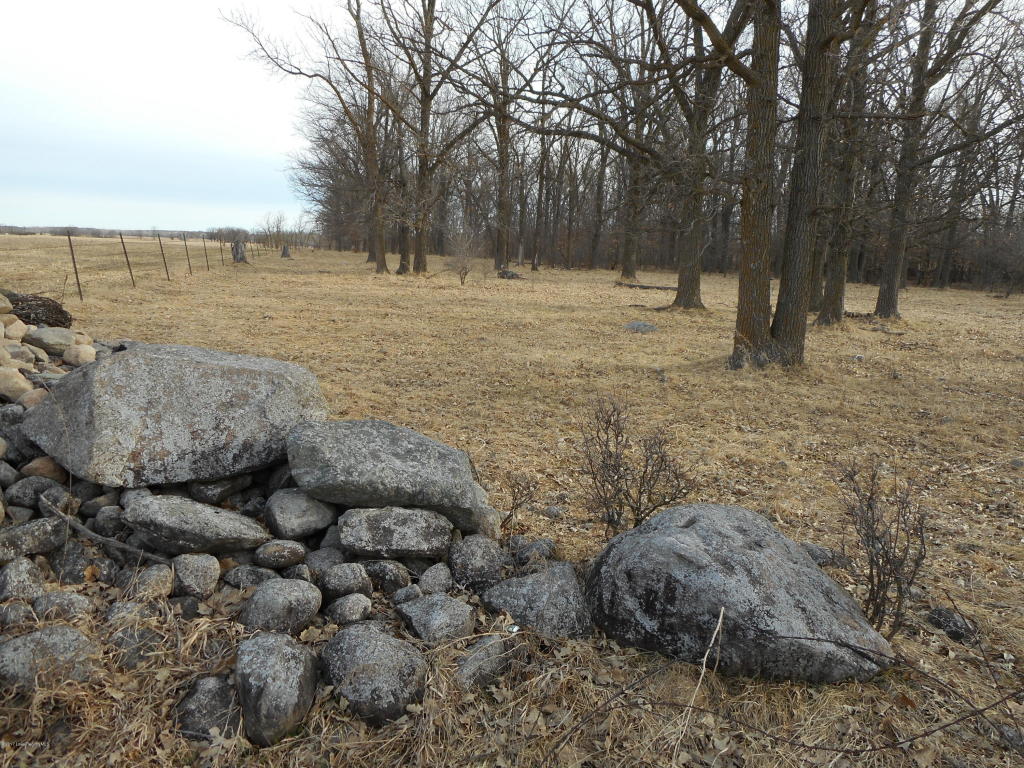 Xxx Co Hwy 75 Highway, Wadena, MN 56482