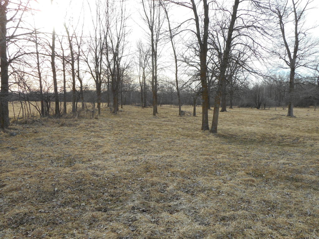 Xxx Co Hwy 75 Highway, Wadena, MN 56482