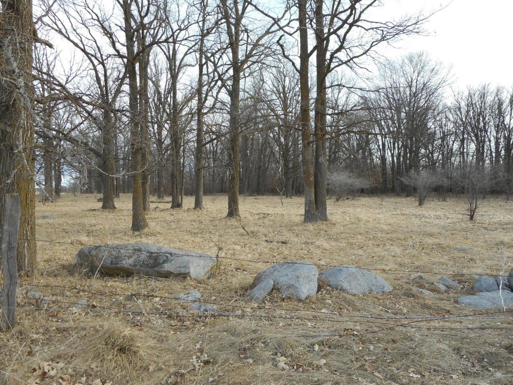Xxx Co Hwy 75 Highway, Wadena, MN 56482