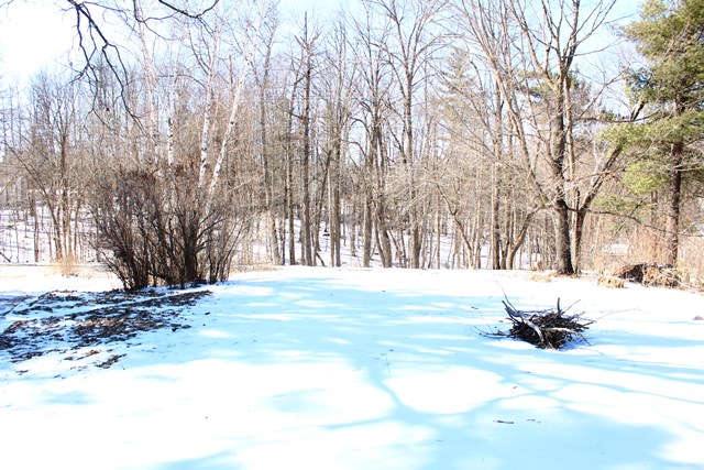 403 Lake May Drive, Walker, MN 56484