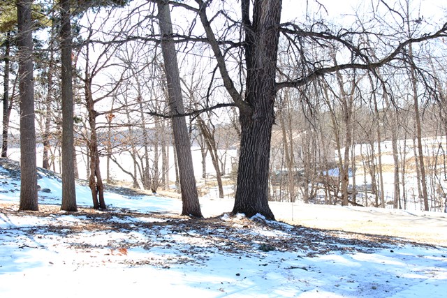 403 Lake May Drive, Walker, MN 56484