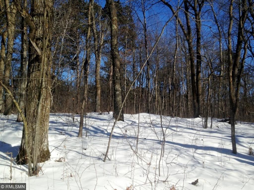 TBD Pine Point Circle, Walker, MN 56484