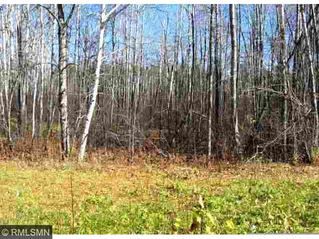 Blk 2 Lot 1 48th Avenue, Walker, MN 56484