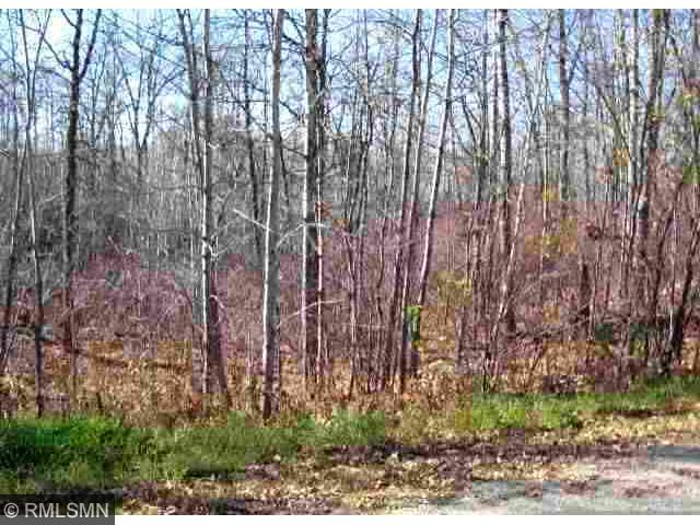 Blk 1 Lot 3 48th Avenue, Walker, MN 56484
