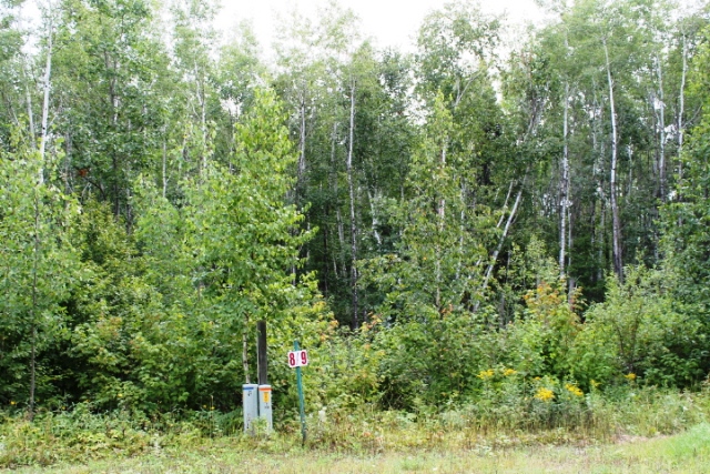 TBD Cedar Crest Loop, Walker, United States 56484