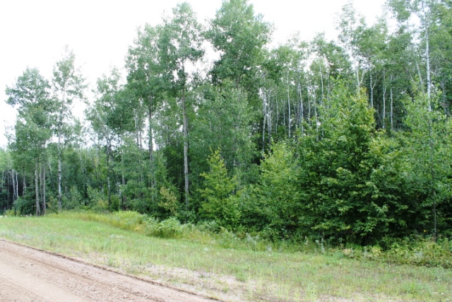 TBD Cedar Crest Loop, Walker, United States 56484