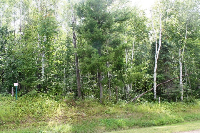 TBD Cedar Crest Loop, Walker, United States 56484
