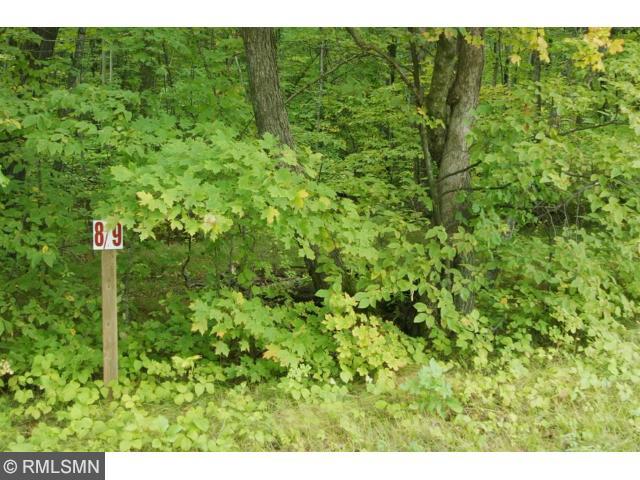 Lot 6 19th Avenue, Walker, MN 56484