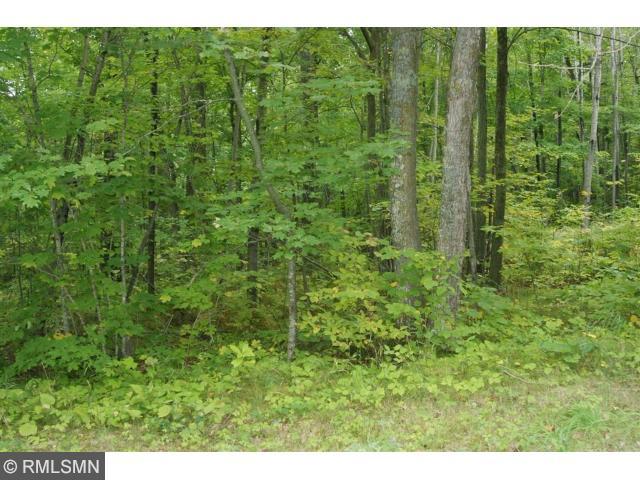 Lot 6 19th Avenue, Walker, MN 56484