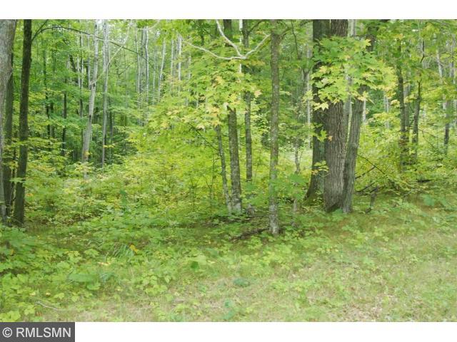 Lot 6 19th Avenue, Walker, MN 56484