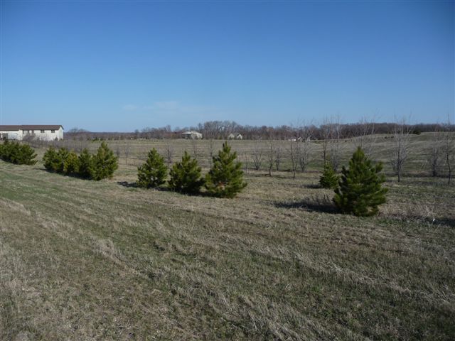 Lot 6 Canterbury Sands Trail, Battle Lake, MN 56515