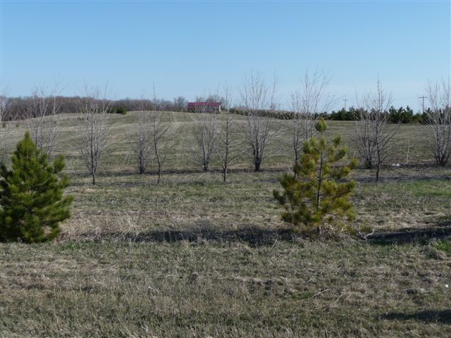 Lot 6 Canterbury Sands Trail, Battle Lake, MN 56515