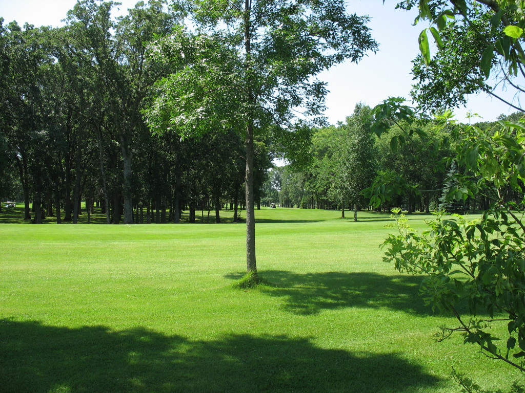 Lot 2 Bk 1 265th Street, Battle Lake, MN 56515