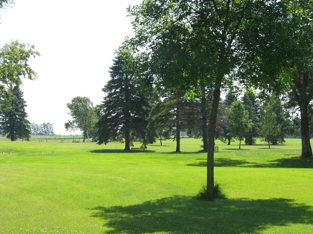 Lot 4 Blk2 265th Street, Battle Lake, MN 56515
