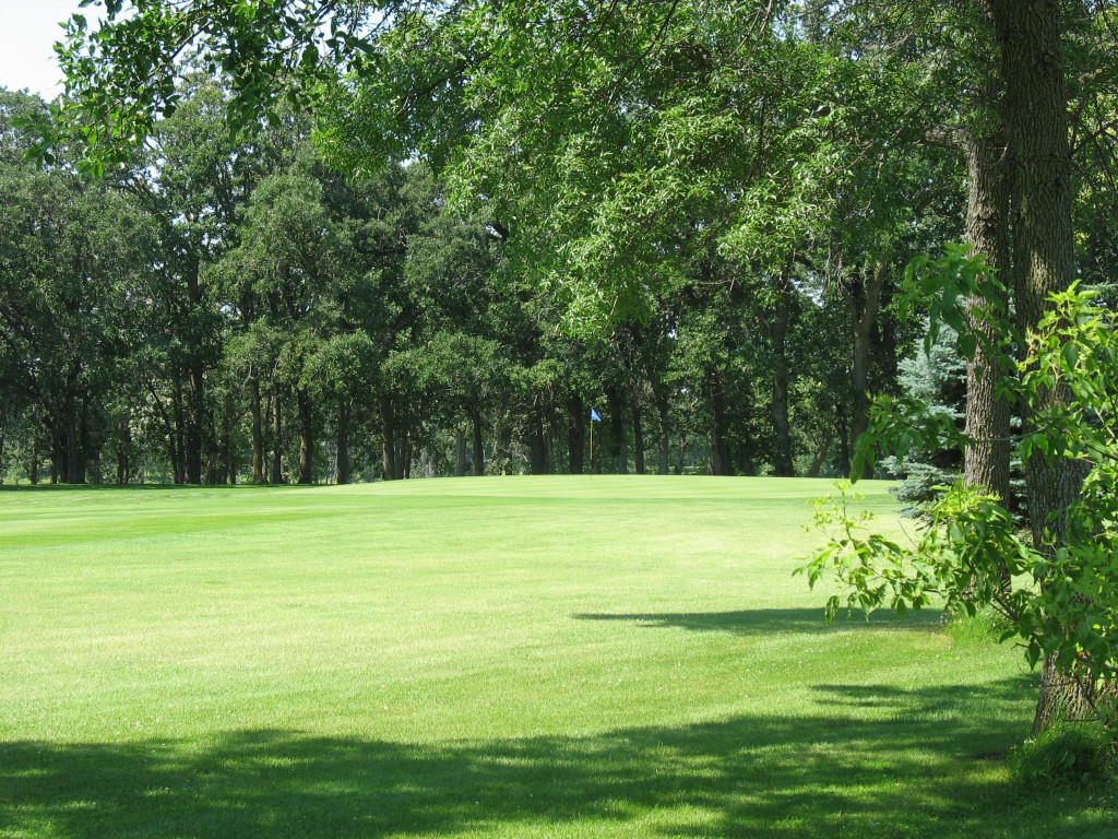 Lot 9 Bk 1 265th Street, Battle Lake, MN 56515