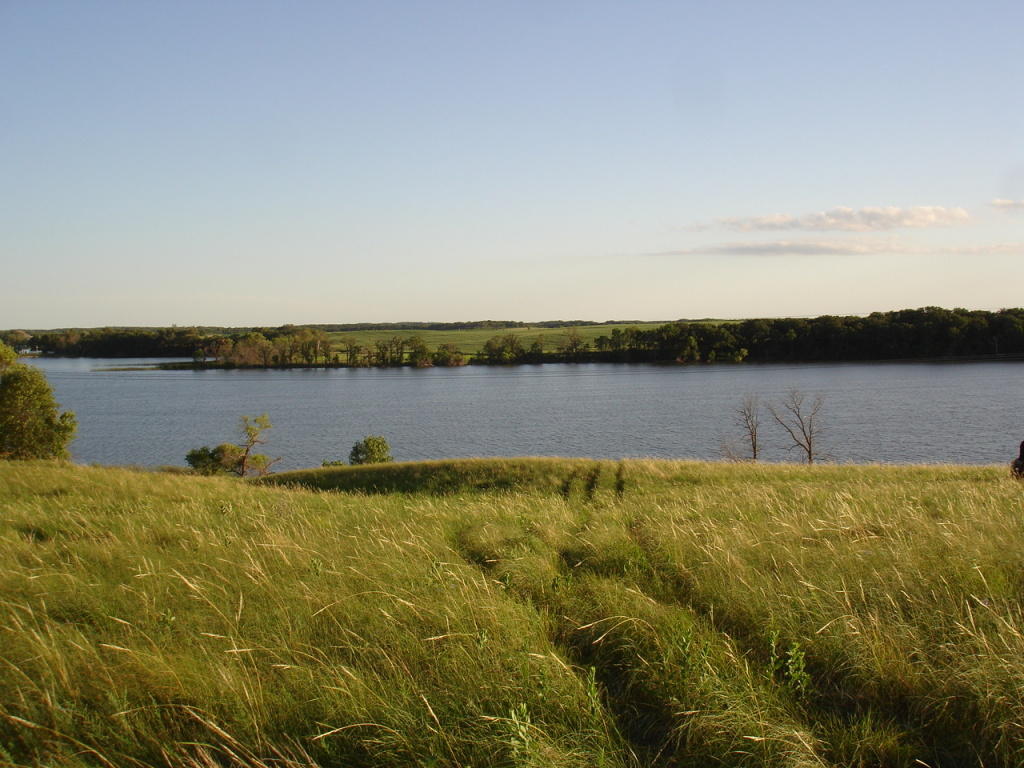 Parcel E Silver View Road, Battle Lake, MN 56515