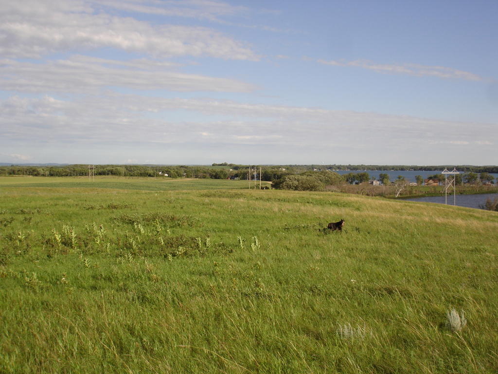 Parcel C Silver View Road, Battle Lake, MN 56515