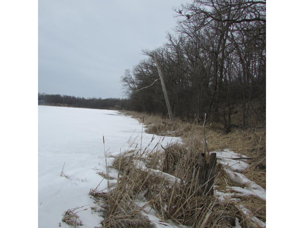 32750 160th Street, Battle Lake, MN 56515