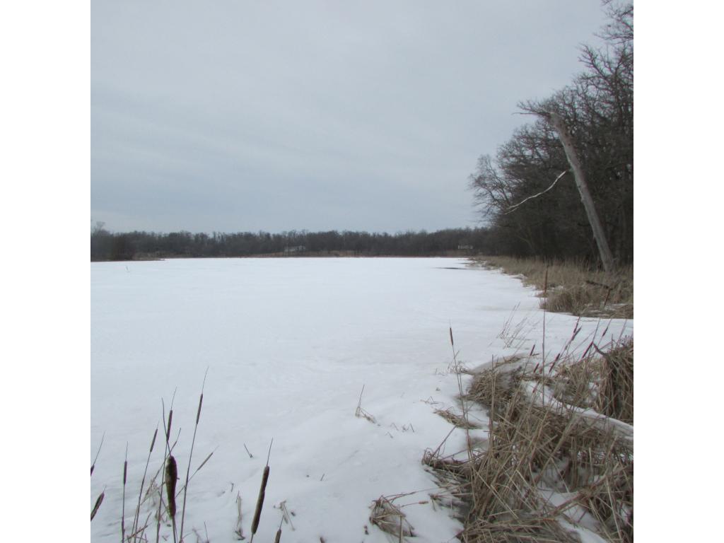 32750 160th Street, Battle Lake, MN 56515