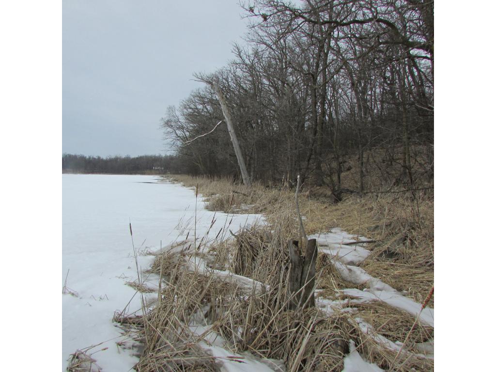 32750 160th Street, Battle Lake, MN 56515